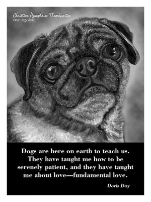 NEW Dog quote card: Pug by iheartdogsstudio