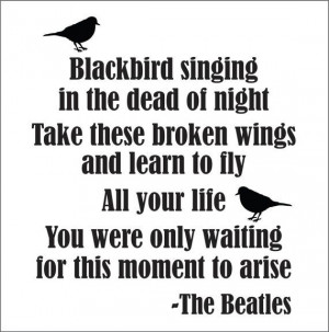 blackbird beatles song lyrics happy birthday beatles quote wholesale ...