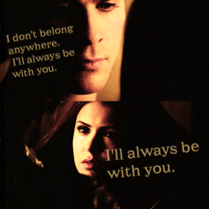 Delena - the-vampire-diaries Photo