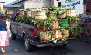 Your ride (The Turnip Truck) is here, motor running.