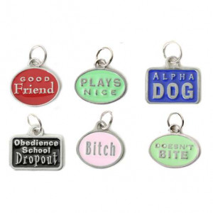 The Spoon Sisters: Dog Tags - Photo