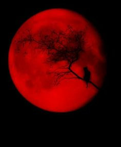 Blood Moon, Lady Macbeth, Red Moon, Metztli Luna, Gessekai Moonworld ...