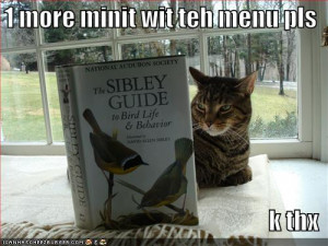 Download funny animals with funny saying 2012