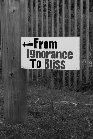 ignorance is bliss quotes tumblr ,