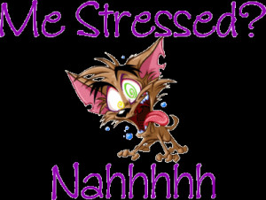 De-Stressing your Dog