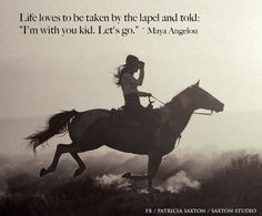 horse photos with quotes | Happy Birthday Maya Angelou | saxton studio ...
