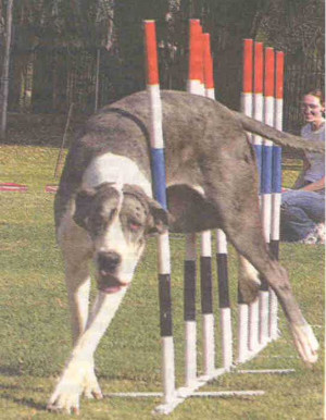 Funny Quotes Contact Dmca