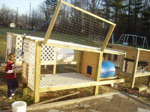 Above Ground Dog Kennels