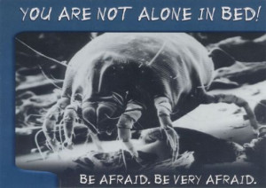 Don’t let the bedbugs bite!