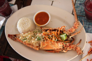 puerto rico s fight for independence kasama these puerto rican people ...