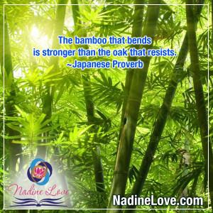 The bamboo that bends is stronger than the oak that resists. ~Japanese ...
