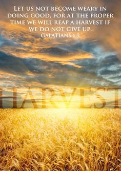 ... time we will reap a harvest if we do not give up. (Galatians 6:9