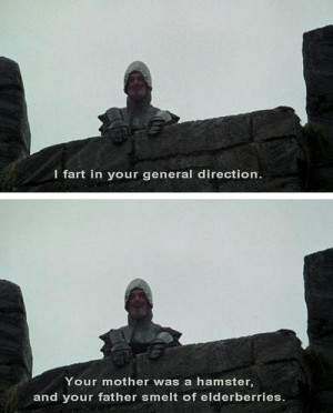 Monty Python and the Holy Grail quotes
