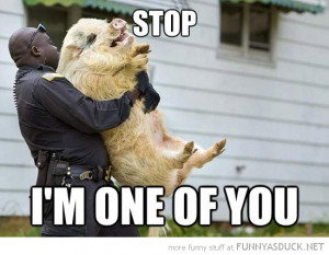cop police holding pig animal stop one of you funny pics pictures pic ...