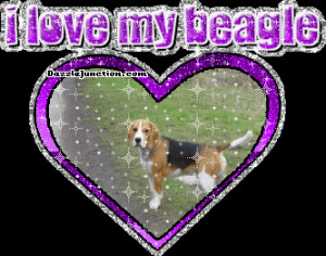 Dog Lovers Beagle quote