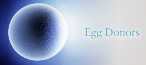 Egg Donor Agencies