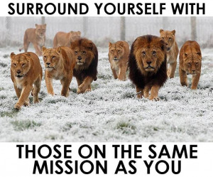 Surround yourself with those on the same mission as you! No truer ...
