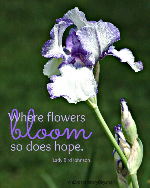 Where Flowers Bloom Does Hope
