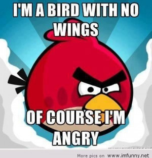 ... .com/im-a-bird-with-no-wings-of-course-im-angry-birds-quote