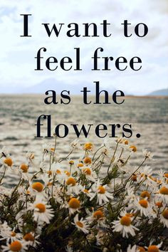 peace love and hippie quotes | love quotes # sun # love # romantic ...