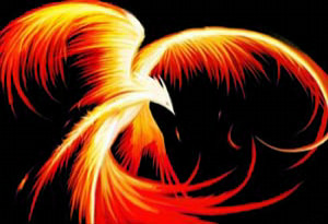 Phoenix Rising From The Ashes