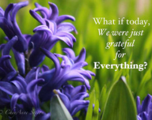Purple Hyacinths - What if Today we were just grateful for Everything ...