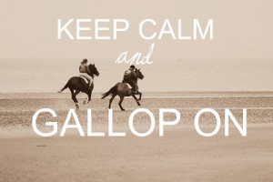 Horse Riding Quotes Tumblr