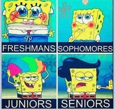... senior years funny so true freshman years true stories high schools