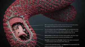 Awesome Lovely Romantic Delicious Happy Chocolate Day 2014 SMS, Quotes ...