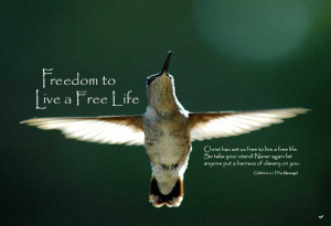 090705D-Free-to-Live-a-Free