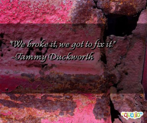We broke it, we got to fix it. -Tammy Duckworth