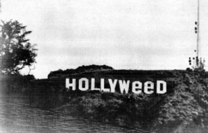 black n white, dope, hollyweed, hollywood, weed