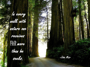 Nature Quotes Quot Take Walk The Forest