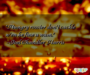 rooster quotes