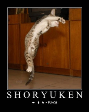 Enjoy funny and hilarious pictures of dogs, cats, monkeys and other ...