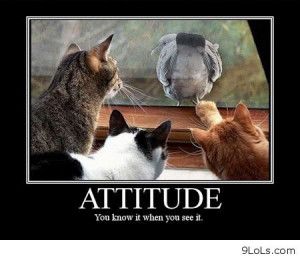 funny animals humor, funny images, funny kids, funny may 2013, funny ...