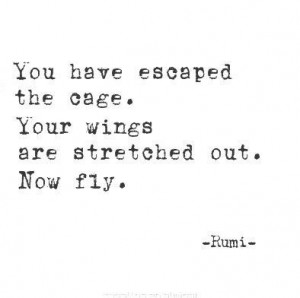 out. Now fly! #recovery: Rumi Quotes Life, Freedom Quotes, Quotes ...