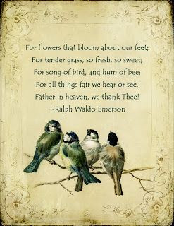 Ralph Waldo Emerson #gratitude #quotes