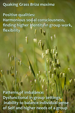 Developing group cohesion while maintaining individual integrity