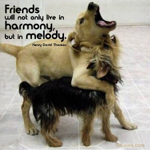 ... in harmony merely, as some say, but in melody.