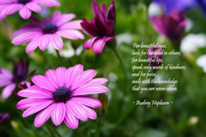 beautiful quotes wallpaper pictures images beautiful quotes wallpaper ...