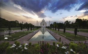 Taj Mahal quote