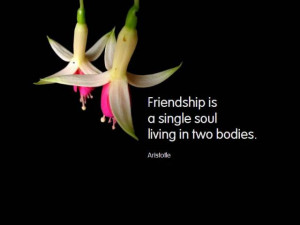 ... friendship quotes, friendship famous quotes, famous quotes friendship