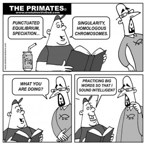 Click each thumbnail to get the full size image.