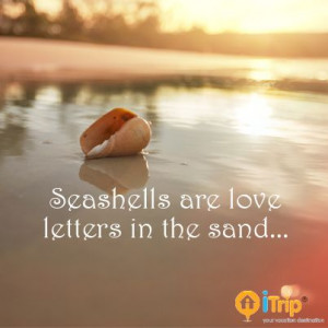 Seashells on the seashore ...