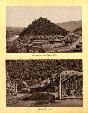 single premium immediate annuity quotes inflation protected