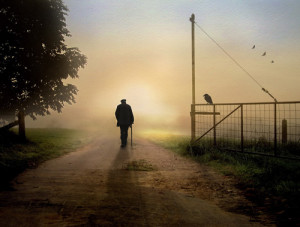 wasting time regretting what you did a year ago. Start doing what you ...