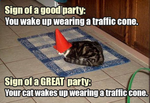 good party: You wake up wearing a traffic cone. Sign of a great party ...