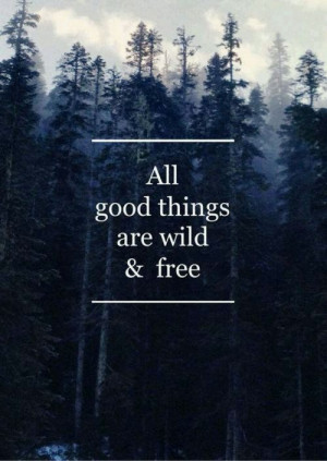 dark, forest, free, good, life, love, nture, quotes, wild, young ...