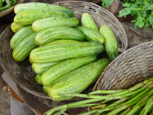 fresh in salads but sometimes cooked small cucumbers are pickled in ...
